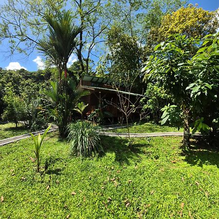Guápiles Centro Ananda Bed & Breakfast エクステリア 写真